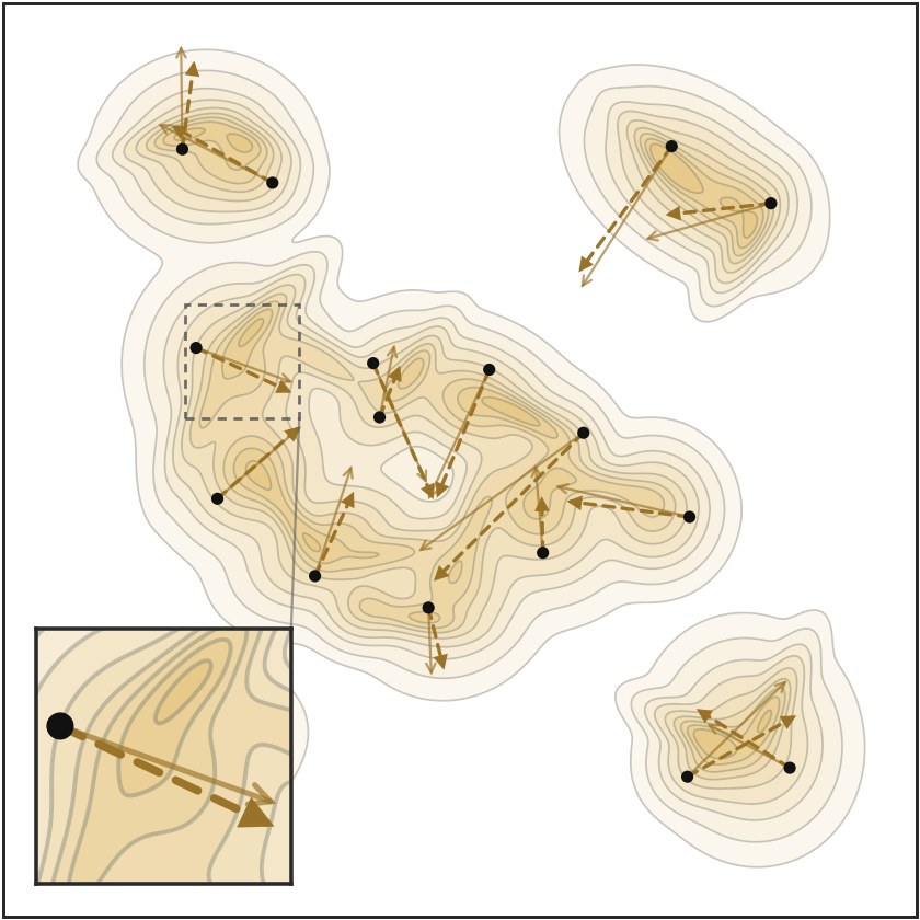 IKL velocity field with aligned student particles converging onto the target modes