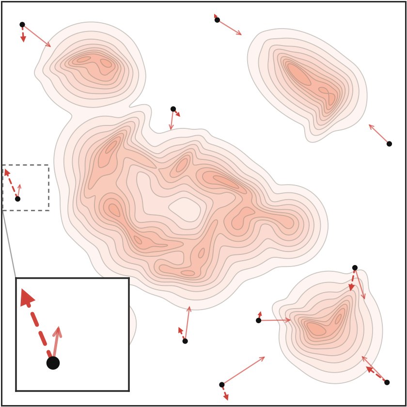 IKL velocity field failing to guide outlier particles toward the target
